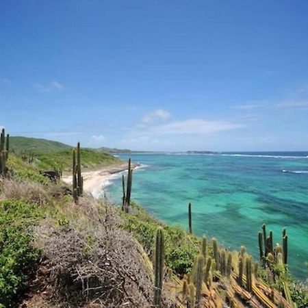 Hamo Cosy Piscine Proche Plage Sainte-Anne Exterior foto