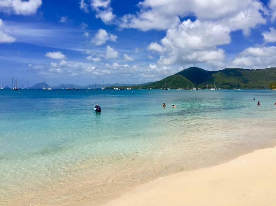 Hamo Cosy Piscine Proche Plage Sainte-Anne Exterior foto
